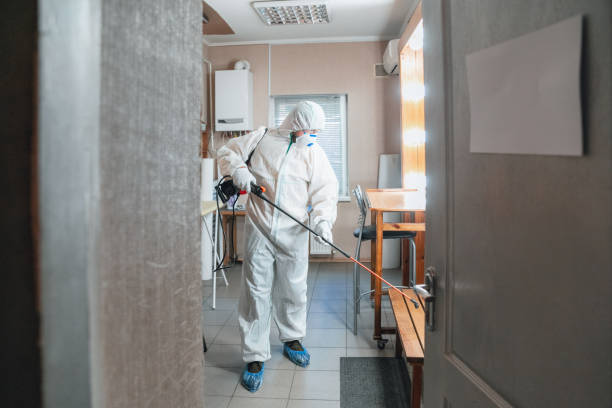 Best Mold Remediation for Rental Properties  in Williston, ND